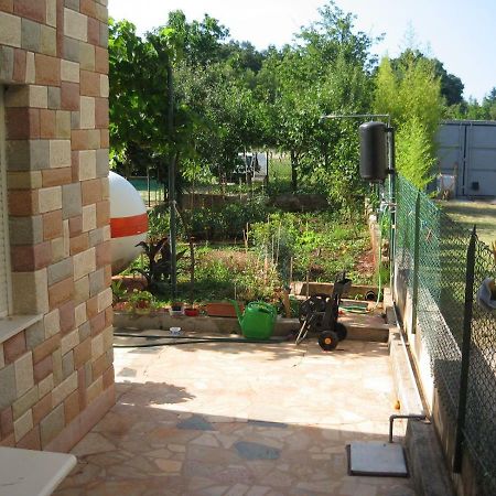 Apartments Sandra Novigrad Istria Buitenkant foto